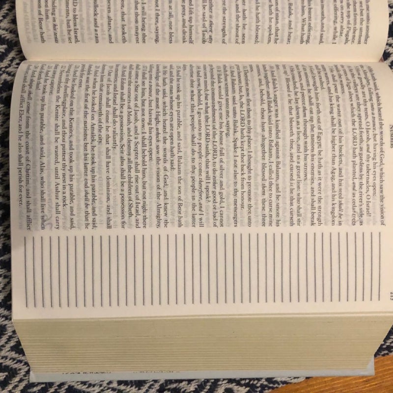 Praise: A Creative Journaling Bible