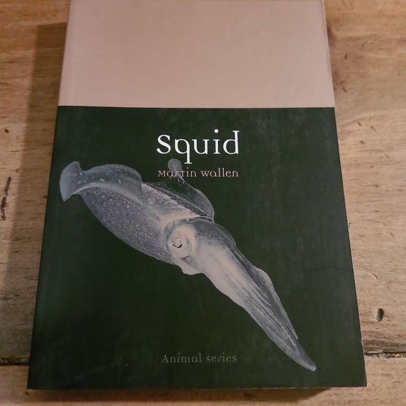 Squid