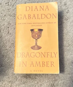 Dragonfly in Amber