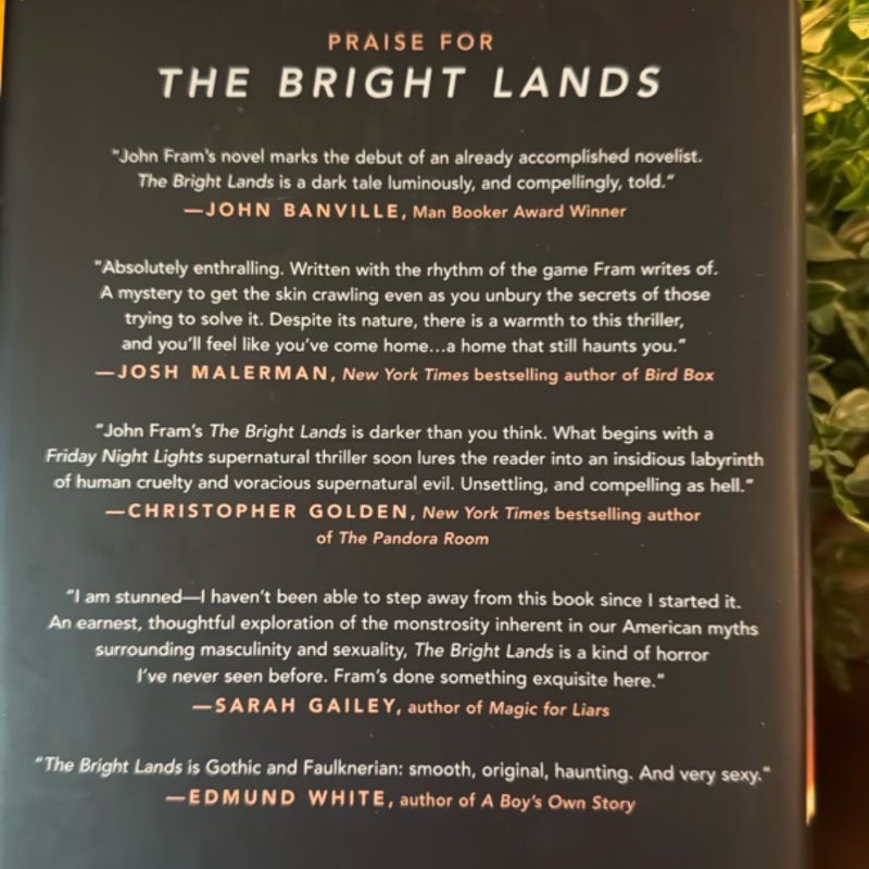 The Bright Lands