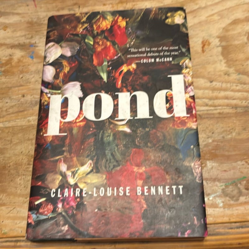 Pond