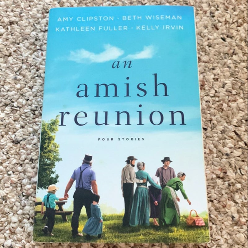 An Amish Reunion