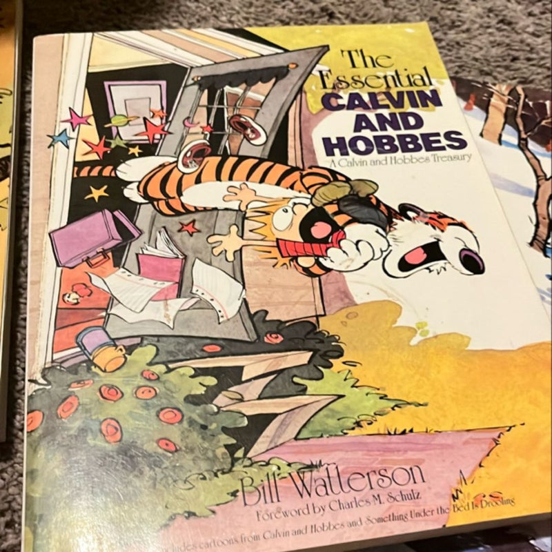 The Essential Calvin and Hobbes