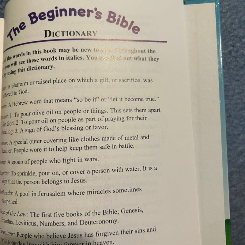 The Beginner's Bible