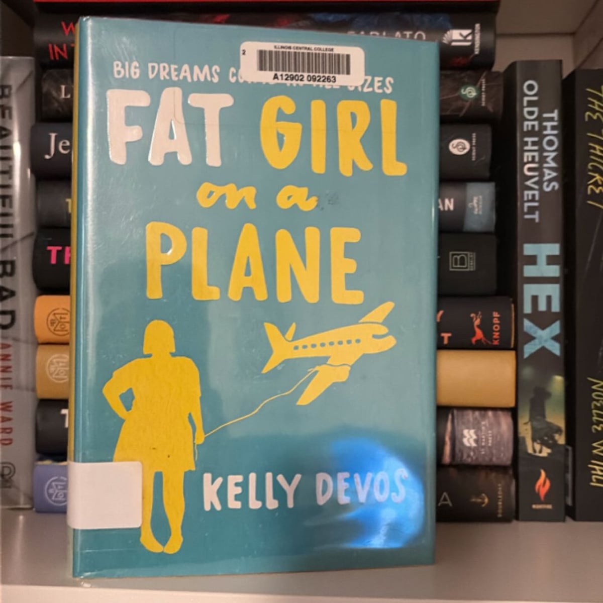 Fat Girl on a Plane by Kelly deVos