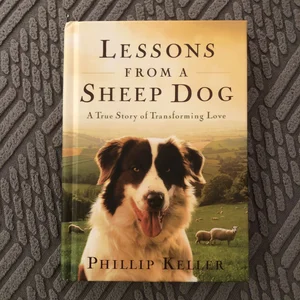 Lessons from a Sheep Dog