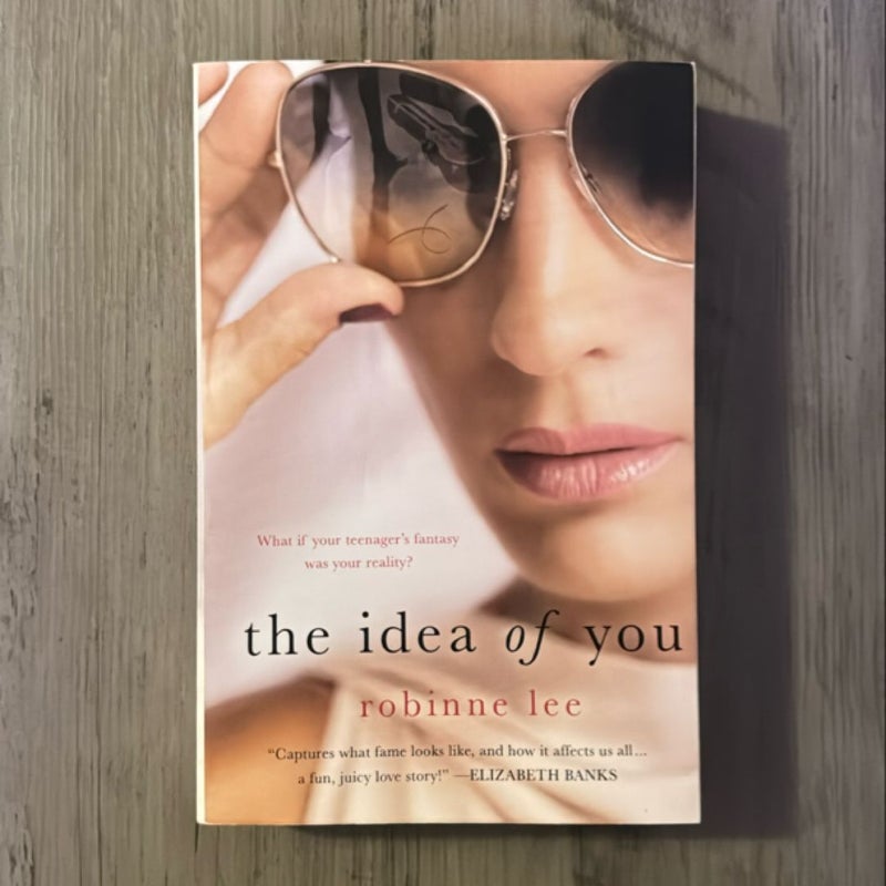 The Idea of You