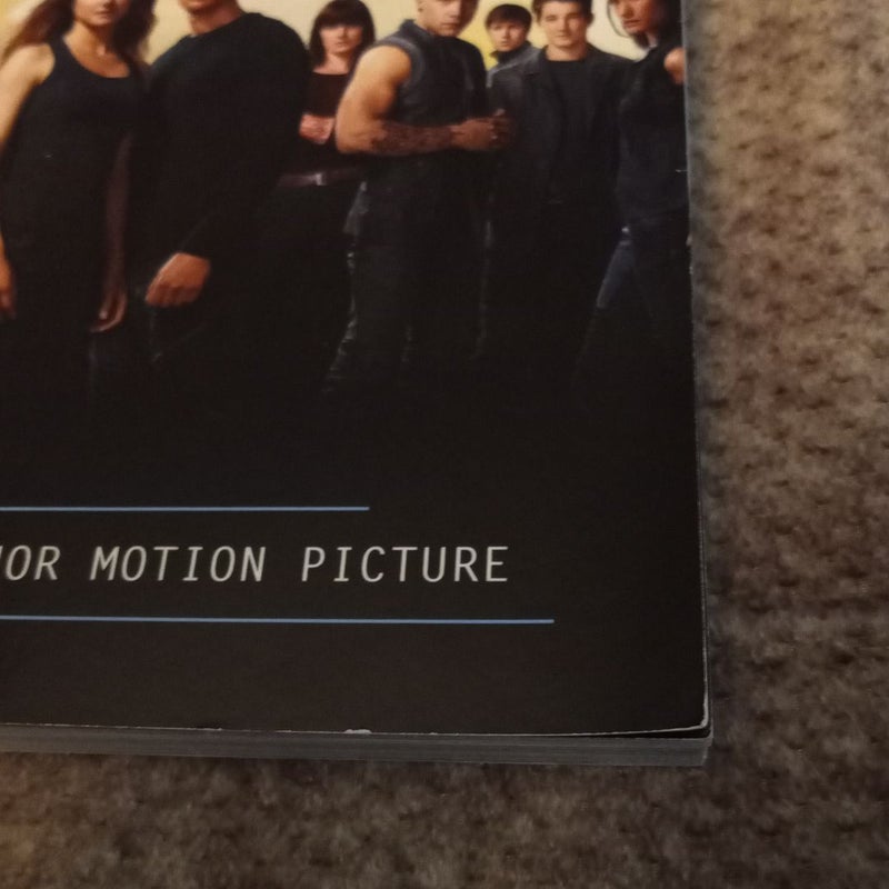 Inside Divergent: the Initiate's World