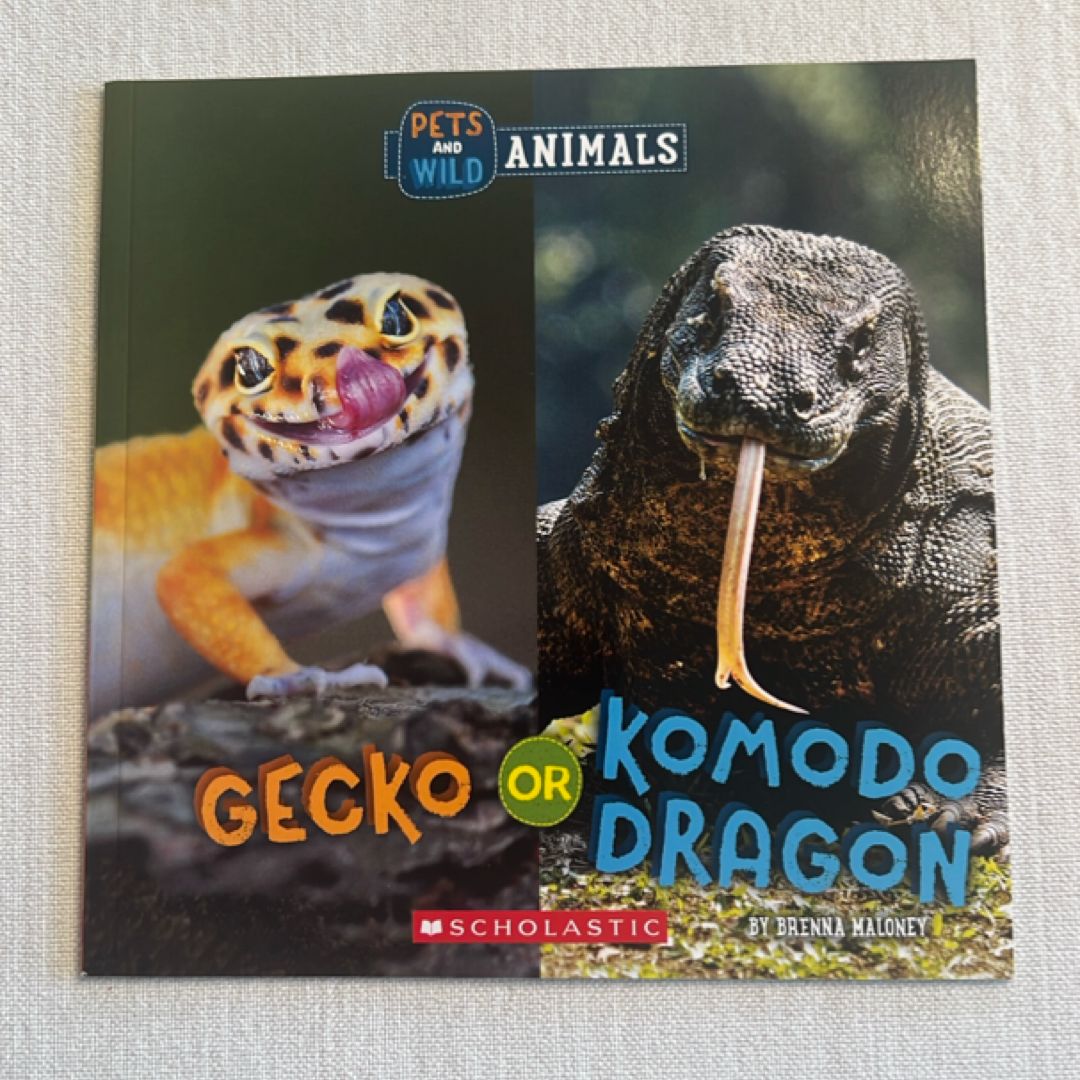Gecko or Komodo Dragon (Wild World: Pets and Wild Animals)