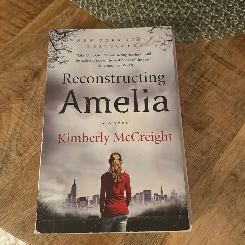 Reconstructing Amelia