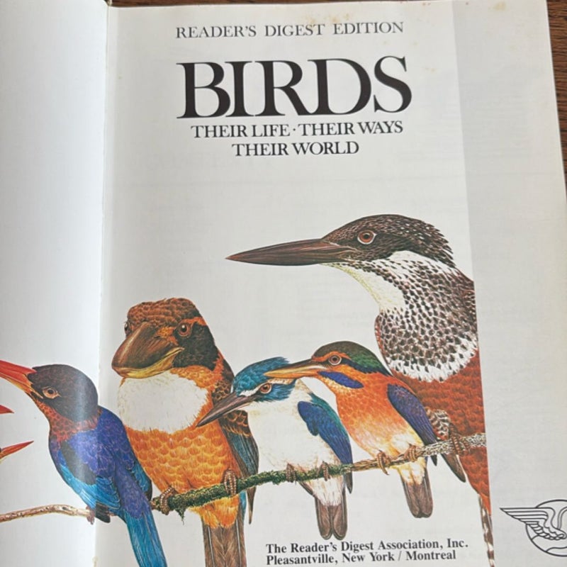 Birds