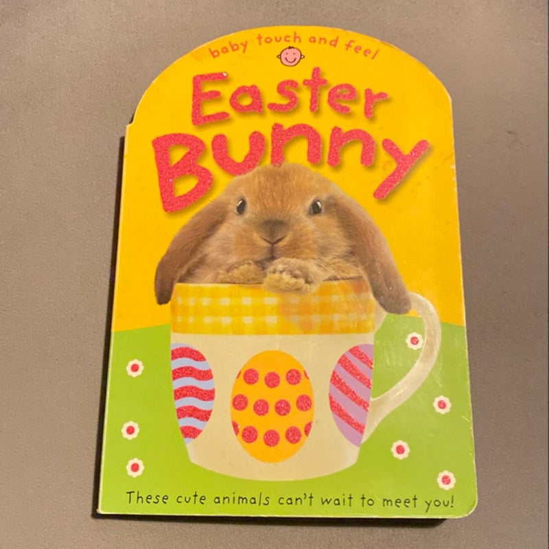 Baby Touch and Feel Easter Bunny