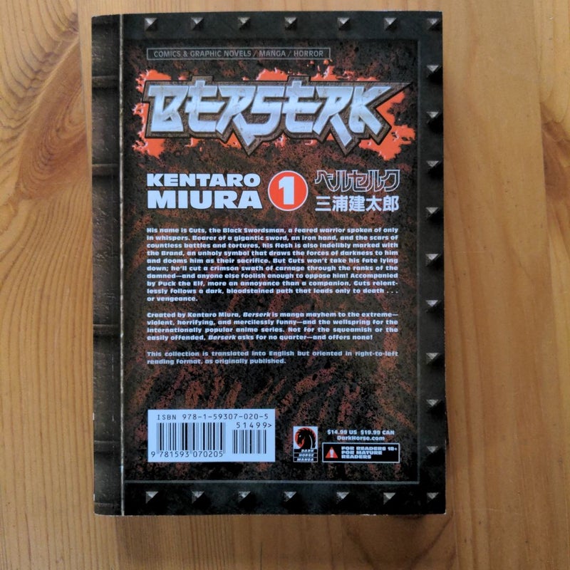 Berserk Volume 1