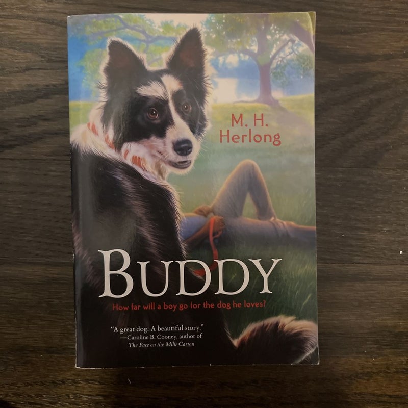 Buddy