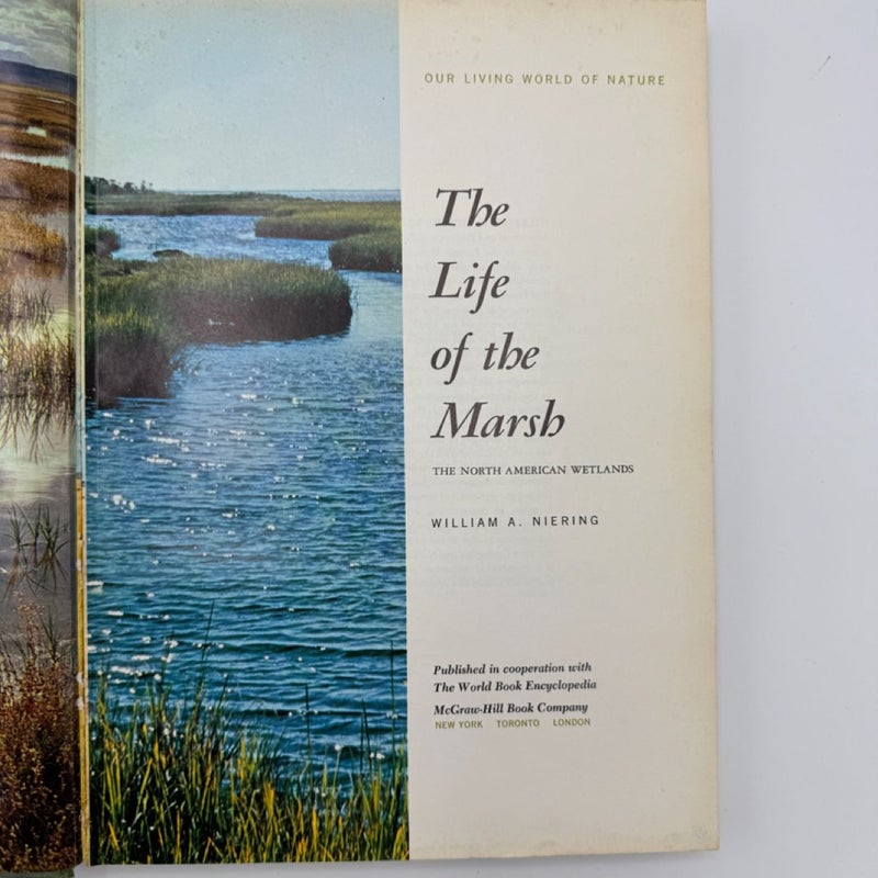 The Life of the Marsh