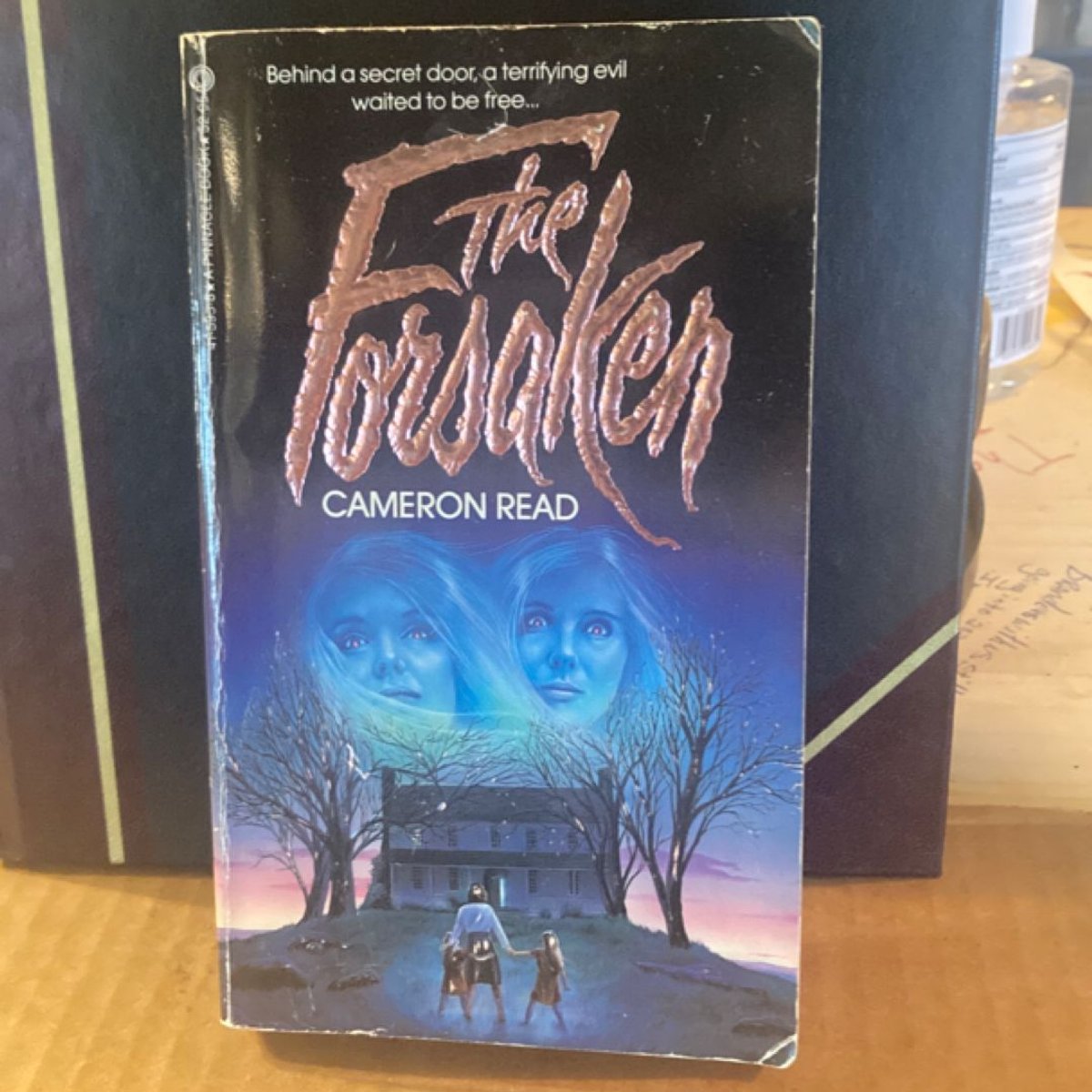 The Forsaken by Cameron Read