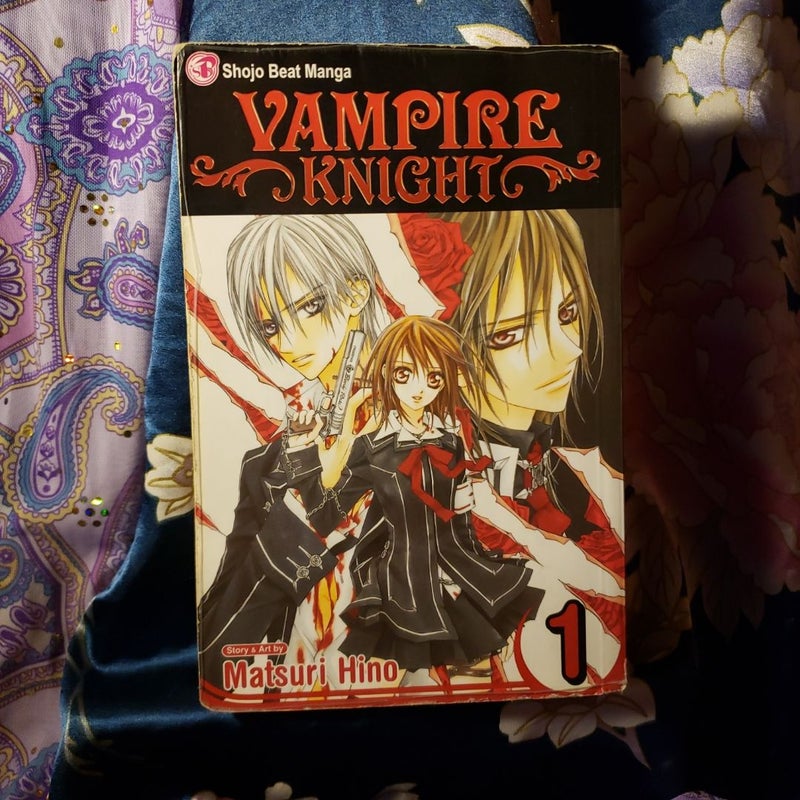 Vampire Knight, Vol. 1