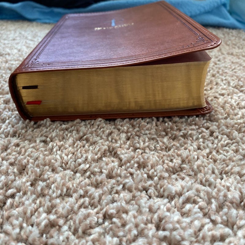 KJV Single Column Large Print Personal Size Reference Bible