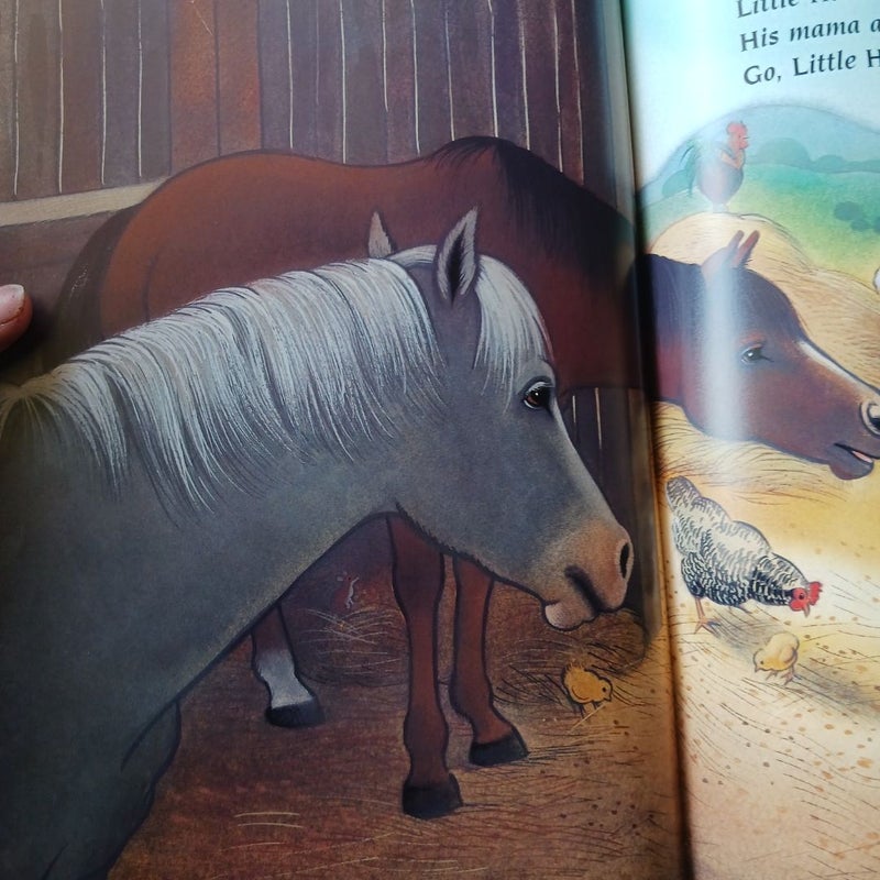 The Wild Little Horse