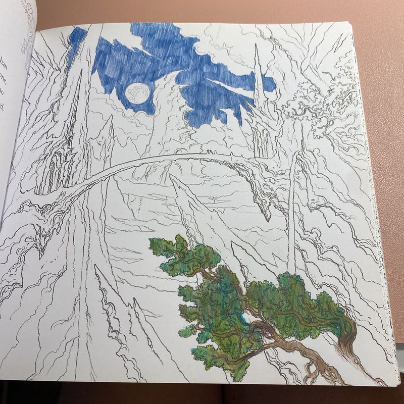 The Throne of Glass Coloring Book