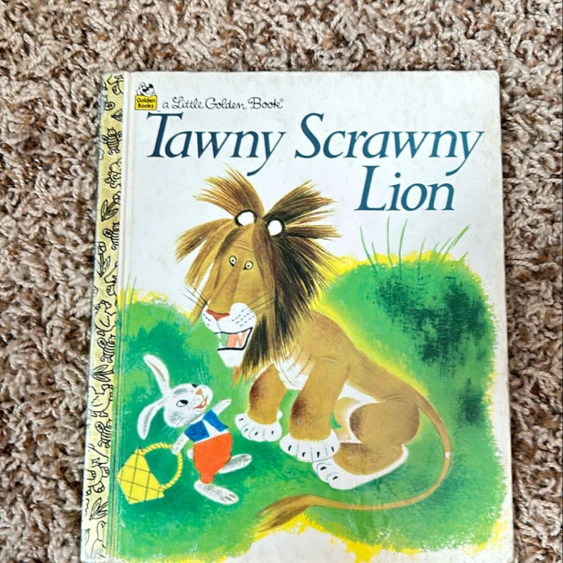 The Tawny Scrawny Lion