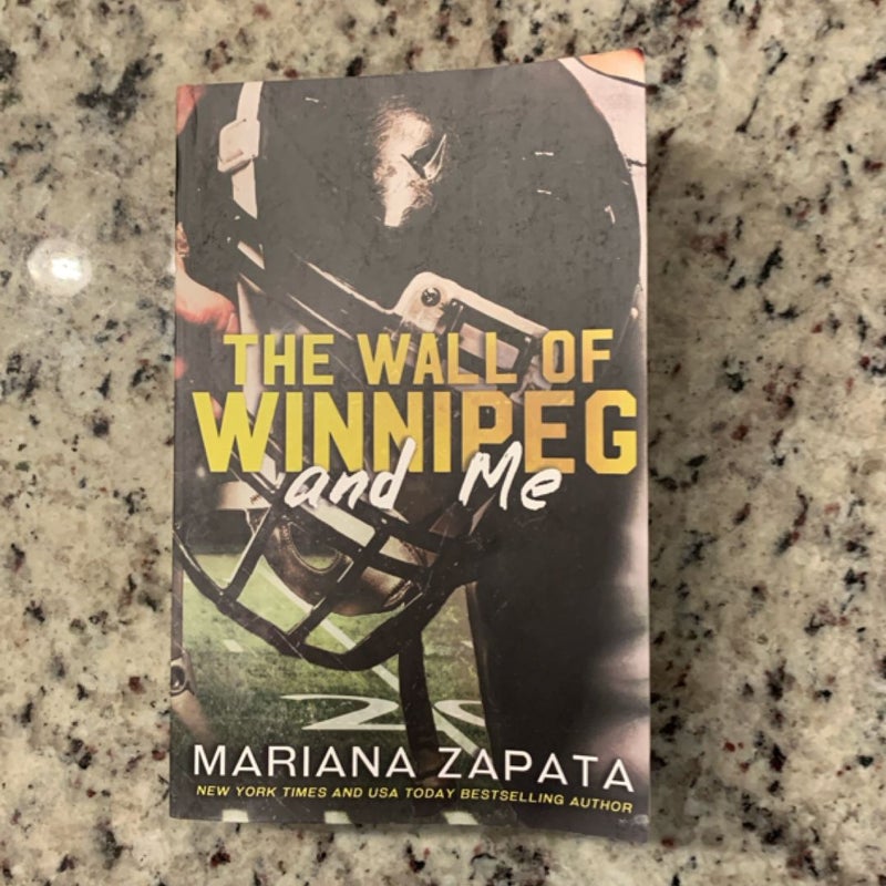 The Wall of Winnipeg and Me INDIE OOP