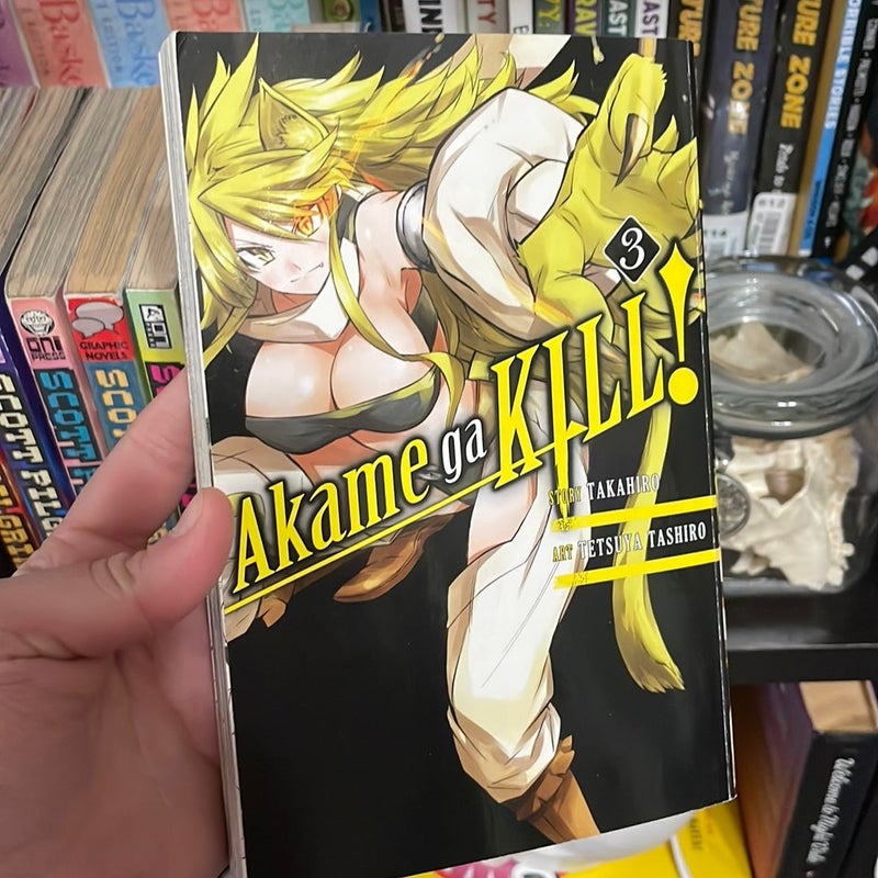 Akame Ga KILL!, Vol. 3