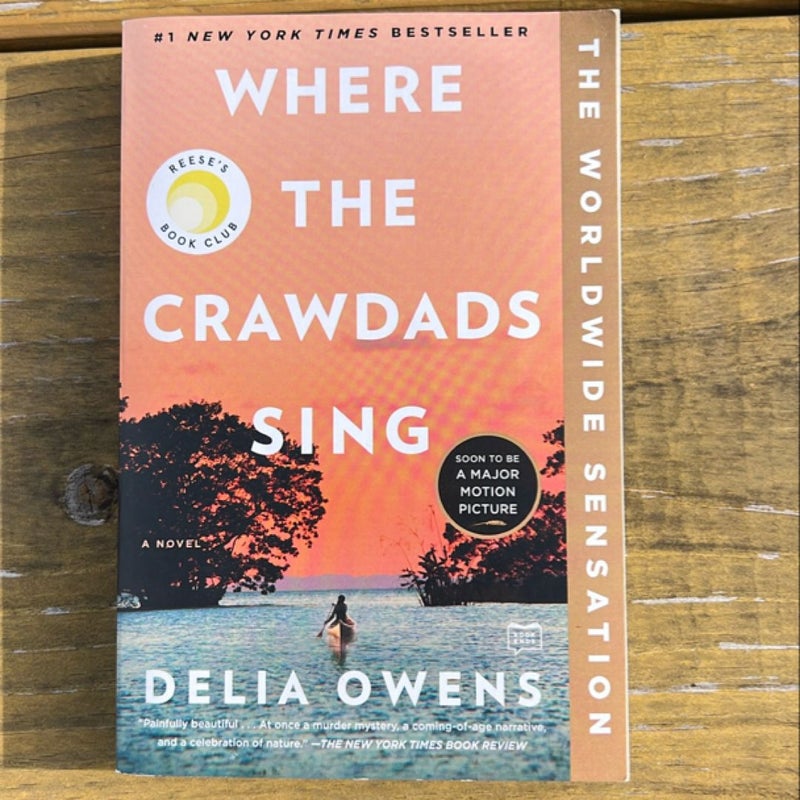 Where the Crawdads Sing
