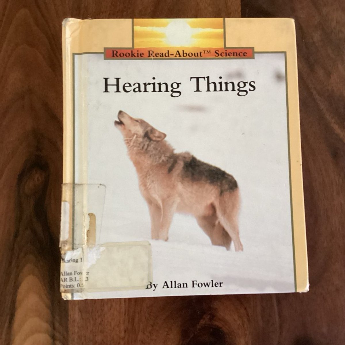 Hearing Things by Allan Fowler