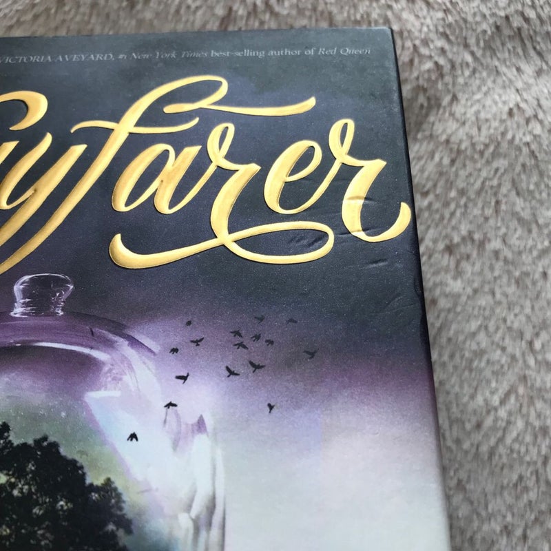 Wayfarer (a Passenger Novel, Book 2)