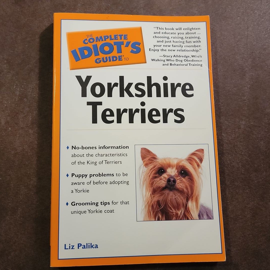 6 Things We Bet You Didn't Know About Yorkshire Terriers