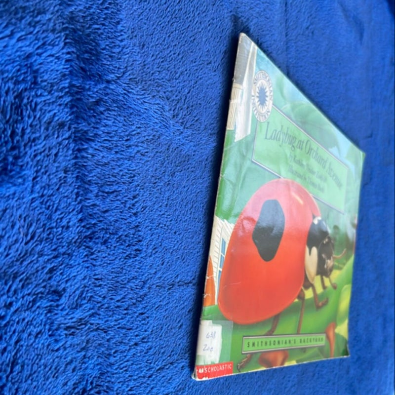 Ladybug at Orchard Avenue