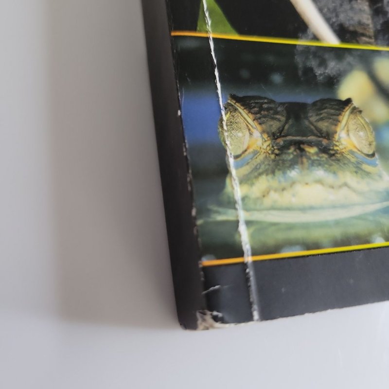 Awesome! Reader, Ages 3 - 6