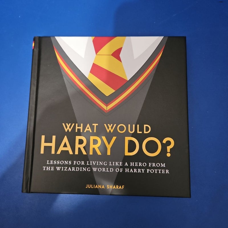 HARRY POTTER Gift Set #1 (w/bonus WWHD? Book AND 12" Harry Potter Fabric "Wizard In Training" Figure)