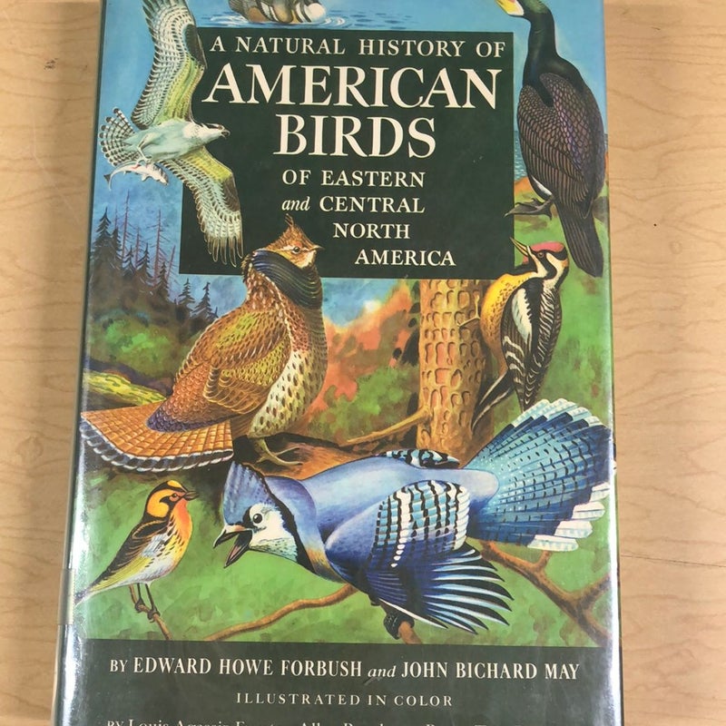 A Natural History of American Birds