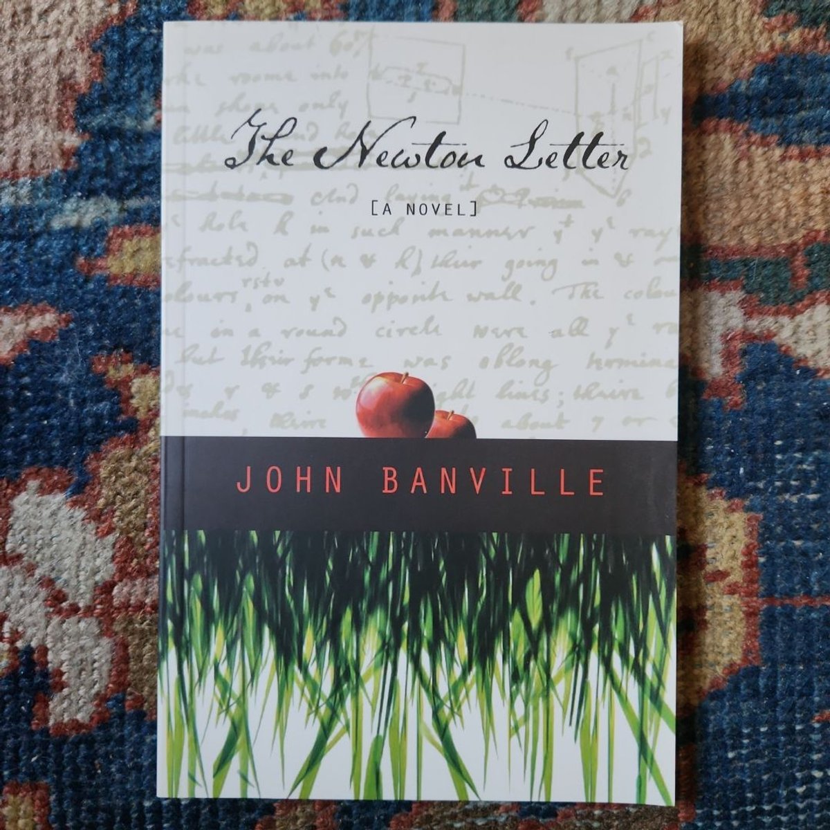 The Newton Letter by John Banville