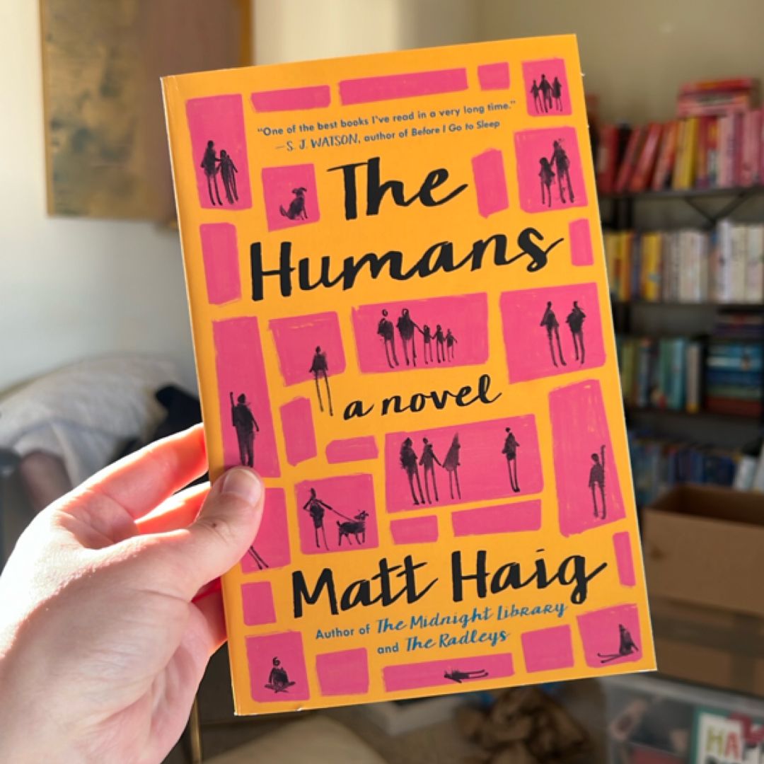 Sale image for b43616f9-f79a-45c5-94c7-772ed05ab914-4Yp7sfTdYFZl2z91fA9bTyI4UML2