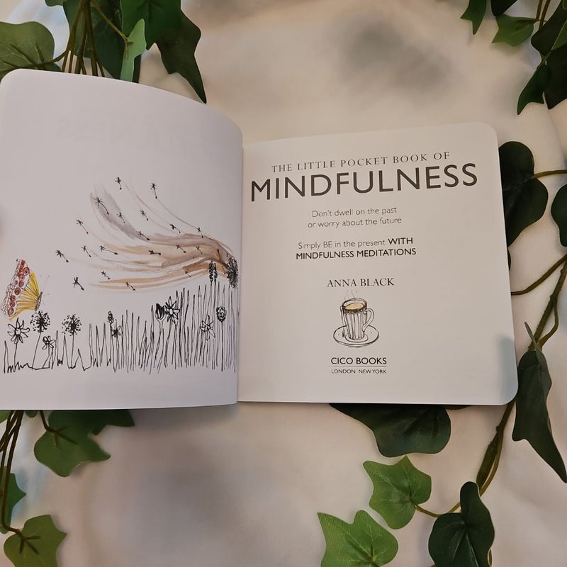 The Little Pocket Book of Mindfulness