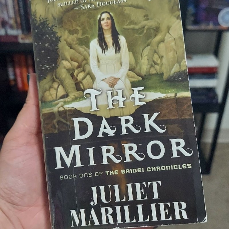 The Dark Mirror