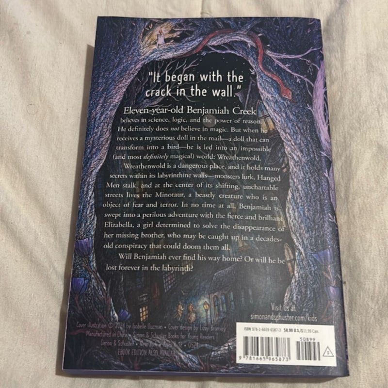 The Labyrinth of Lost and Found *B&N Exclusive Edition*
