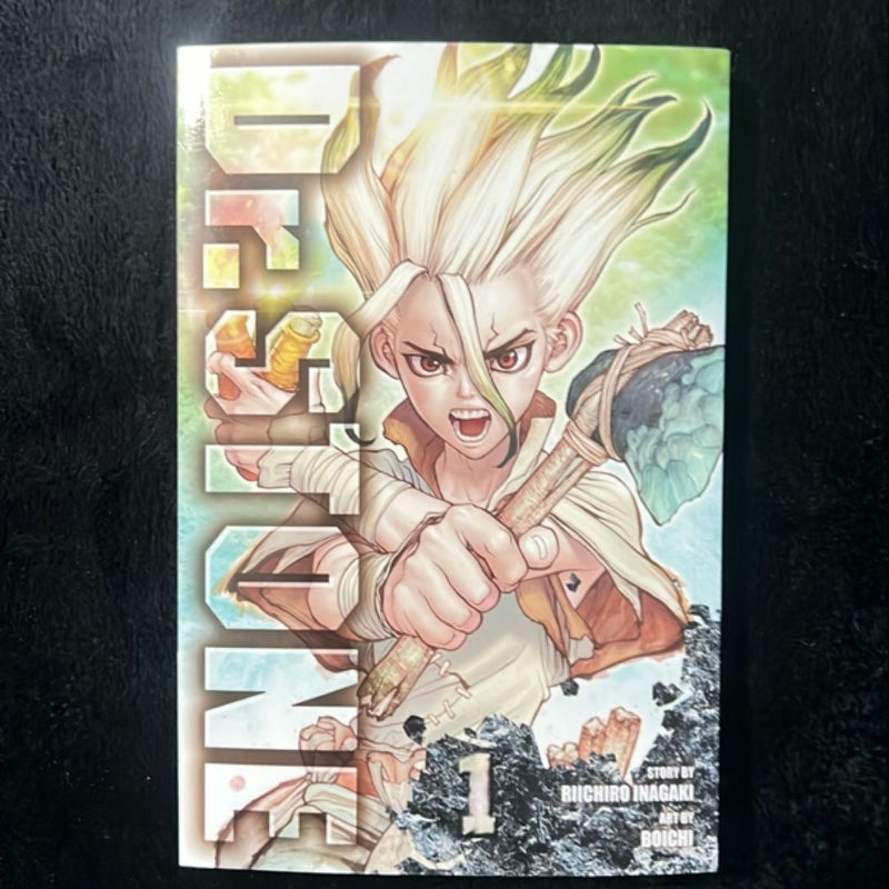 Dr. STONE, Vol. 1