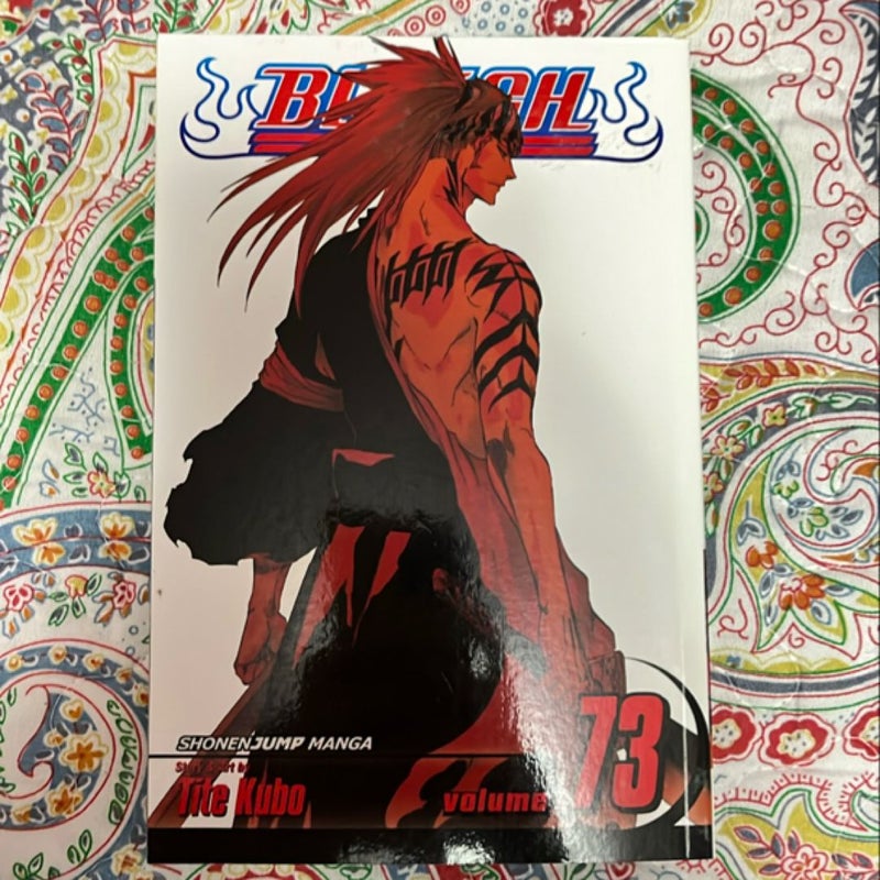 Bleach, Vol. 73