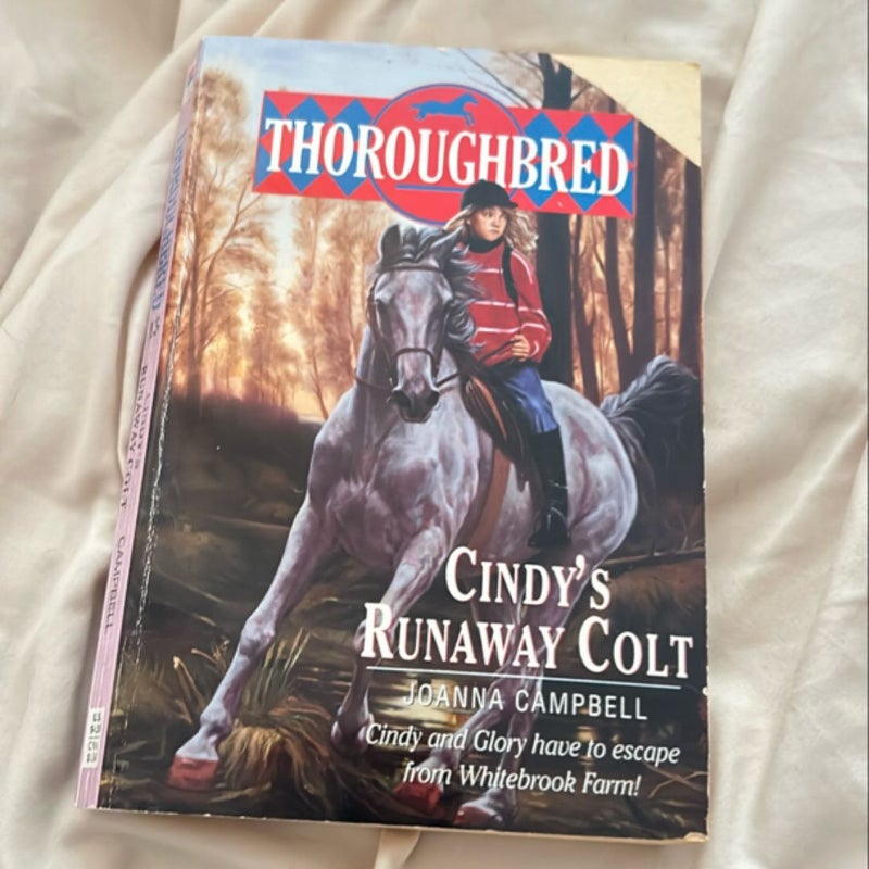 Thoroughbred #13 Cindy's Runaway Colt