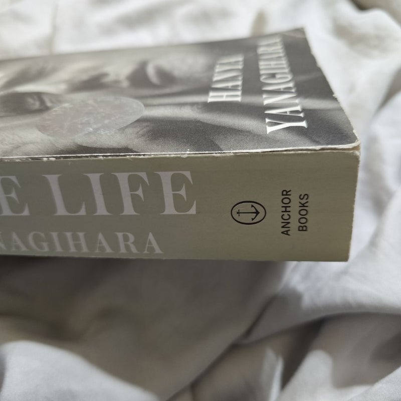 A Little Life