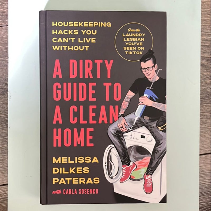 A Dirty Guide to a Clean Home