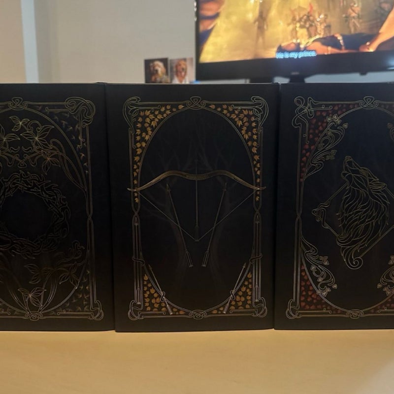Illumicrate From Blood and Ash Books 2-4