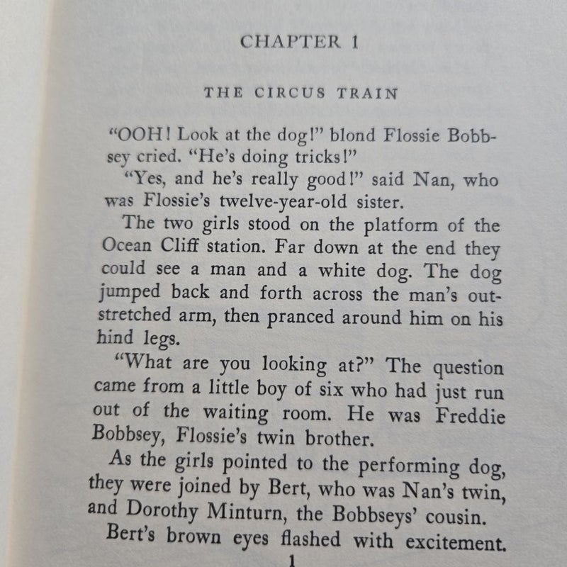 The Bobbsey Twins: The Mystery at School