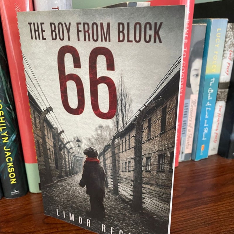 The Boy from Block 66