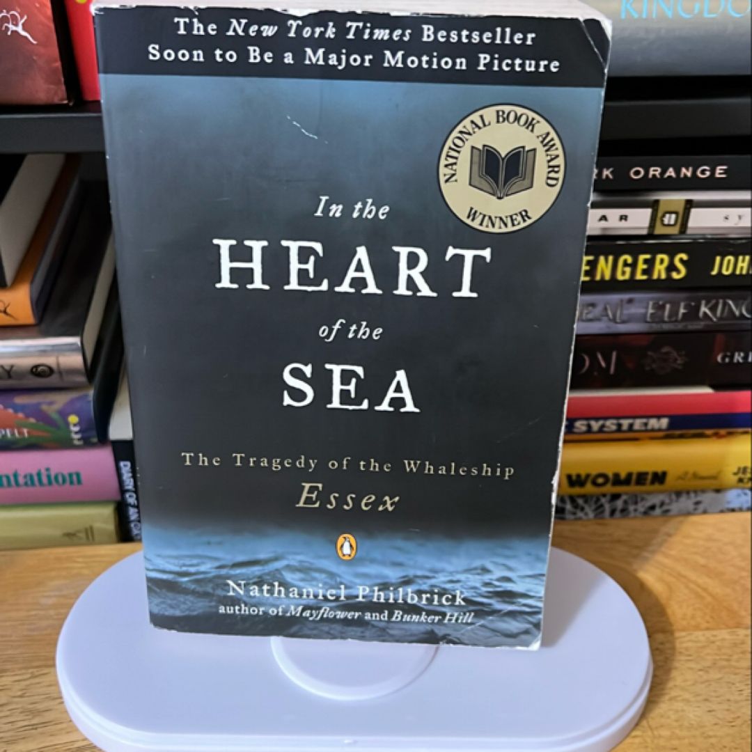 Sale image for 91d2b0fa-4493-41d1-bb1a-ea4802bb438c-j2UvEIy9ljO0y5K4wREdlHb7Xcv2