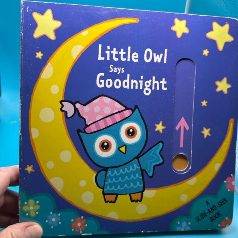 Little Owl Says Goodnight